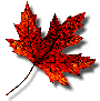 fengye.gif (2742 bytes)
